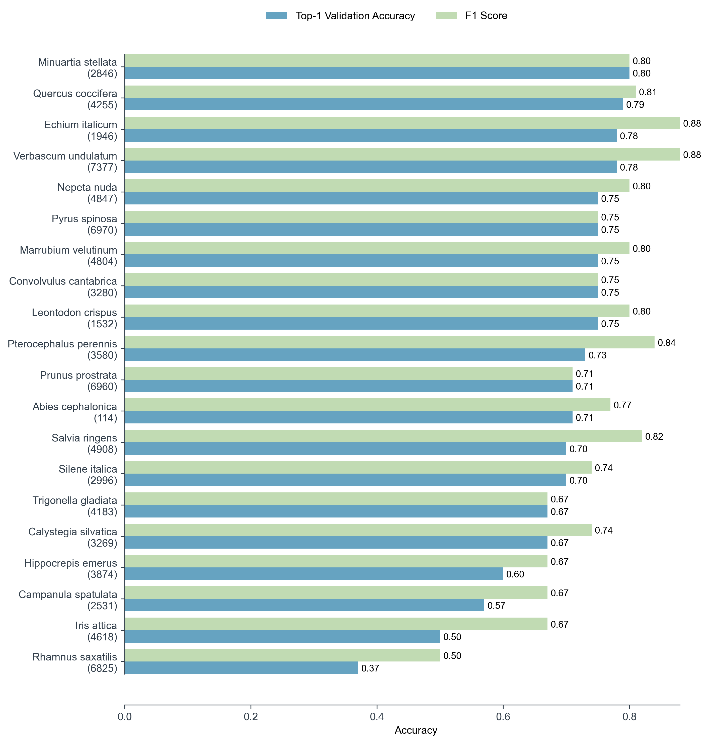 The 20 classes in which EfficientNetB4 performs poorly.